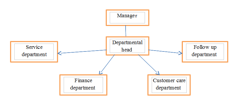 The Structure of the Organization